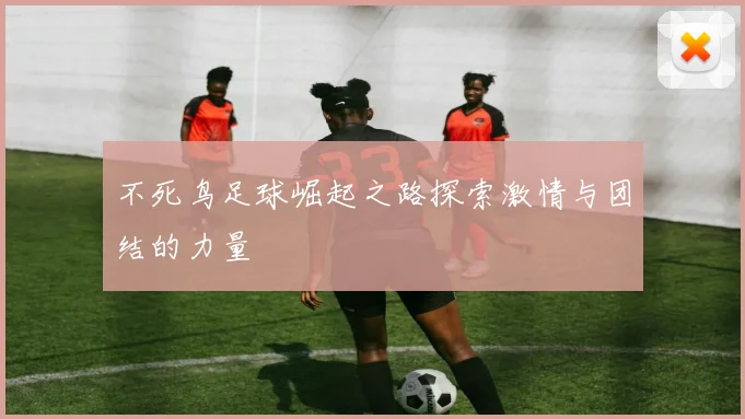 不死鸟足球崛起之路探索激情与团结的力量