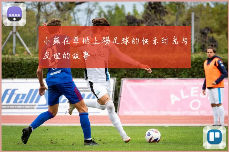 小熊在草地上踢足球的快乐时光与友谊的故事