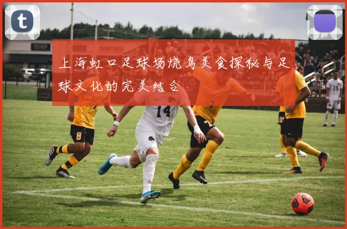 上海虹口足球场烧鸟美食探秘与足球文化的完美结合