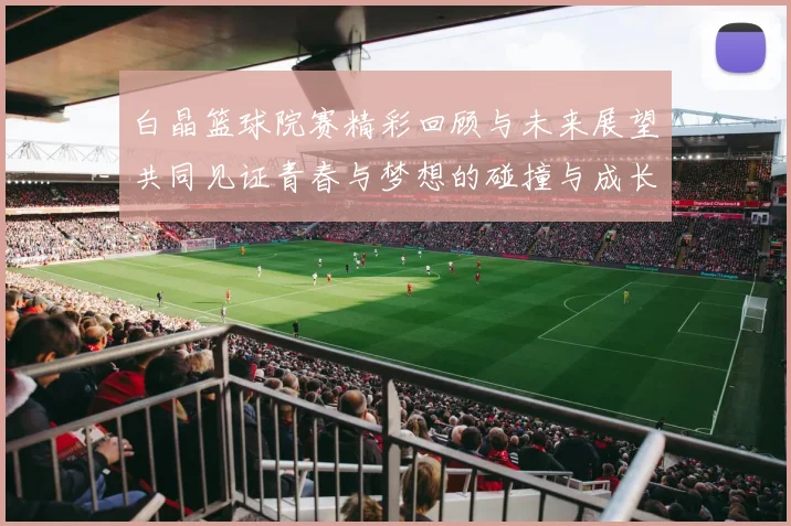 白晶篮球院赛精彩回顾与未来展望共同见证青春与梦想的碰撞与成长