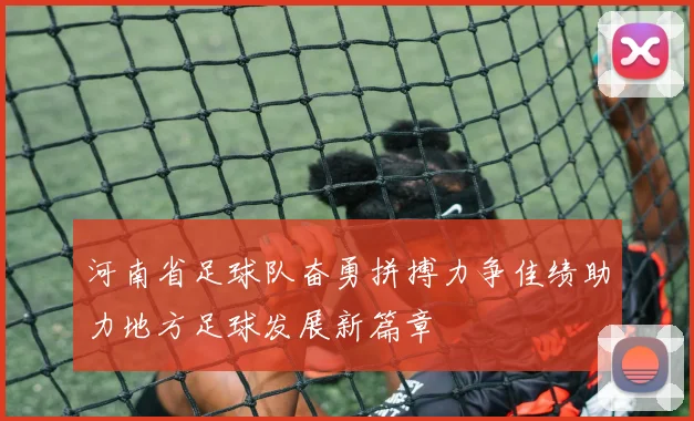 河南省足球队奋勇拼搏力争佳绩助力地方足球发展新篇章